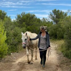 Trame cheval