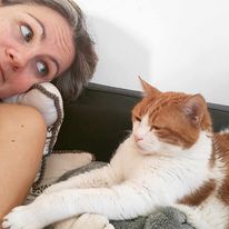 un chat protecteur de l'humain.