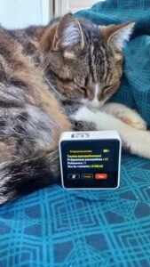 Chat et machine de biorésonnance, fréquence d'onde, machine Osenswave.