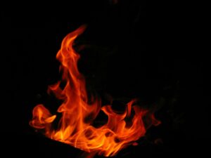 Flamme représentant l'inflammation dans le corps d'un animal.
