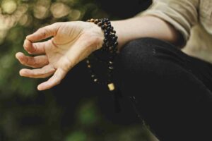 Champ de conscience et Communication Intuitive Animale