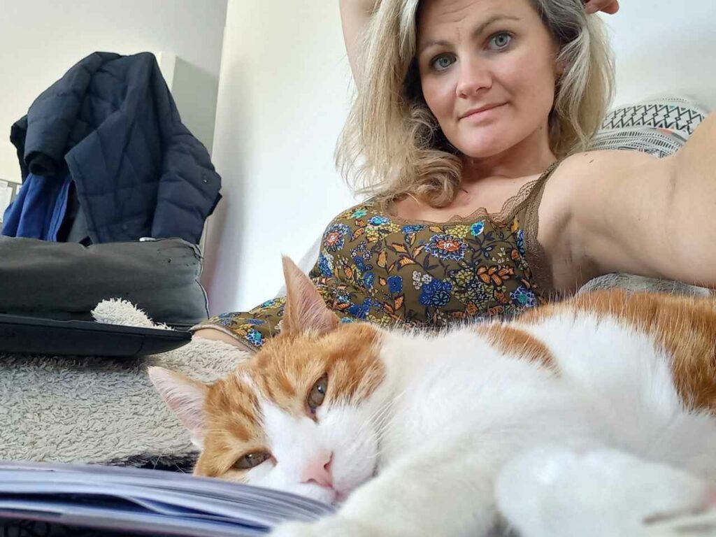 chat blanx et roux, poil court.