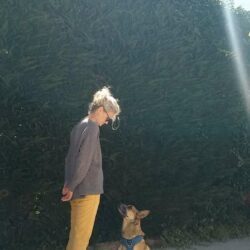 Travail sur les émotions et le comportement du chien et du chat.